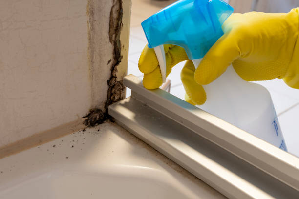 Crawl Space Mold Removal in Camino Tassajara, CA
