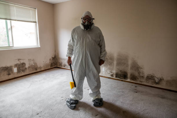 Best Fast Mold Removal  in Mino Tassajara, CA